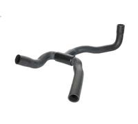 Tubo flessibile, ventilazione carter VAICO per TOURNEO CONNECT 1.8 2002-2013