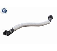 Tubo flessibile, ventilazione carter VAICO per TRANSIT V363 Autobus 2.2 2013-