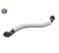 Tubo flessibile, ventilazione carter VAICO TRANSIT V363 Autobus 2.2 2013-2018
