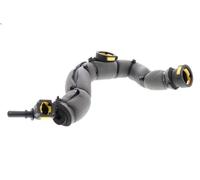 Tubo flessibile, ventilazione carter VAICO V42-0856 per C2 (JM_) 1.1 2003-2012