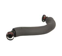 Tubo flessibile, ventilazione coperchio testata cilindri HANS PRIES 116 663