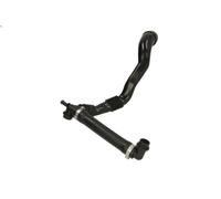 Tubo flessibile, ventilazione del coperchio della testata AKUSAN EXEO 1.6 2009-