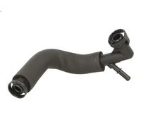 Tubo flessibile, ventilazione del coperchio della testata FEBI per 3 2 1998-2