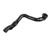 Tubo flessibile, ventilazione del coperchio della testata FEBI per A3 2 2003-