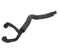 Tubo flessibile, ventilazione del coperchio della testata per 1 (E87) 3 2005-