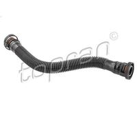 Tubo flessibile, ventilazione del coperchio della testata per 1 (F20) 1.6 2011-