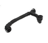 Tubo flessibile, ventilazione del coperchio della testata per 6 (E63) 3 2004-