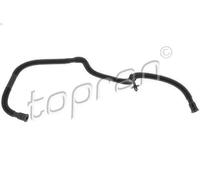 Tubo flessibile, ventilazione del coperchio della testata per A3 (8P1) 1.4 2007-