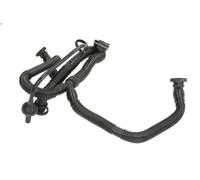 Tubo flessibile, ventilazione del coperchio della testata per A6 C6 2.4 2004-