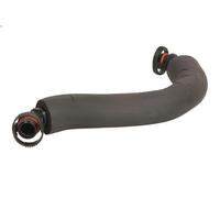 Tubo flessibile, ventilazione del coperchio della testata per TT (8J3) 2 2008-