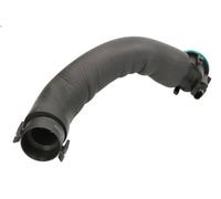 Tubo flessibile, ventilazione del coperchio della testata VAICO per 3 2 2011-
