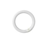 Tubo fluorescente circolare 22W T9 6400K GSC 2000589