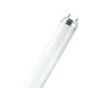Tubo fluorescente OSRAM LUMILUX, G13 T8, 120 cm 2.700 K 36 W Osram