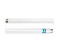 Tubo fluorescente Philips G13 T8 con protezione antischeggia Philips