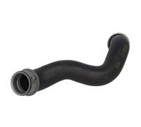 THERMOTEC DWB247TT Flessibile radiatore