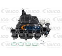 Tubo ingresso aria Testa a cilindro V25-1727 VAICO per FORD VOLVO MORGAN