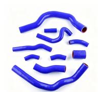 Tubo Ingresso Dell'aria Per 2000 2001 2002 2003 2004 2005-2008 Per Mini Per Cooper S R52 R53 Silicone Tubo Flessibile Radiatore D Liquido Di Raffreddamento Kit Tubo Linea Aspirazione(Blu)