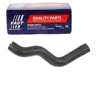 FAST FT61761 Flessibile aria alimentazione per FIAT GRANDE PUNTO (199)