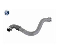 Tubo intercooler Vaico per Renault Clio Kangoo Thalia