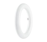 Tubo LED circolare Osram per dispositivi elettromagnetici attacco 12 W G10q Luce fredda