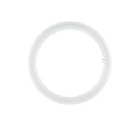 Tubo LED circolare Osram per dispositivi elettromagnetici attacco 20 W G10q Luce fredda