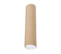 Tubo lungo in cartone con tappi, per spedizioni, quadri, documenti, 50 cm