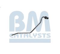Tubo pressione, sensore press. (filtro antip.) BM CATALYSTS per 208 I 1.2 2013-