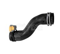 Tubo Radiatore Alto Sinistra METZGER Iam-Expertise Adatto A per Altre Cose Mini