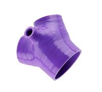 Tubo Radiatore Compatibile Con A6 Per AllRoad 2.7 Per BiTurbo 250hp ARE BES C5 2000 2001 2002 2003 2004 2005 Per S4 RS4 A6 B5 Tubo Flessibile Radiatore Tubo Flessibile Motore(Purple)