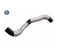 Tubo radiatore inferiore Ackoja per Nissan Micra