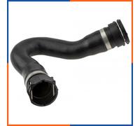 Tubo Radiatore per AUDI | CPP-AU-021, DWW287TT