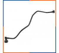 Tubo Radiatore per AUDI | CPP-AU-031, 56554