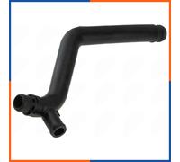Tubo Radiatore per AUDI | CPP-VW-036, R251074
