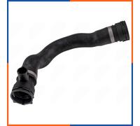 Tubo Radiatore per BMW | CPP-BM-193, 45986