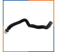 NTY Flessibile radiatore CPP-ME-007 per Mercedes-Benz Classe S