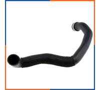NTY Flessibile radiatore CPP-ME-026 - Tubo raffreddamento compatibile Mercedes-Benz Classe GL/ML