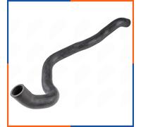 Tubo Radiatore per VW | CPP-WW-056, 1K0121051J