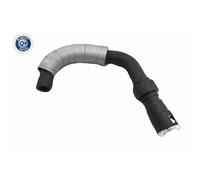 Tubo Radiatore Vaico per Ford Transit