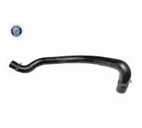 Tubo Radiatore Vaico per Ford Transit