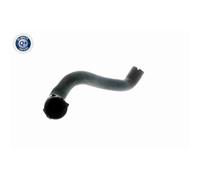 Tubo Radiatore Vaico per Mercedes classe S