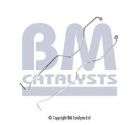 Tubo sensore filtro antiparticolato PP11029B BM CATALYSTS per VW