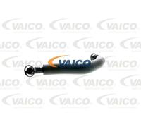 Tubo sfiato anteriore V10-3880 VAICO per AUDI VW