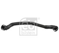 Tubo flessibile, ventilazione coperchio testata cilindri FEBI BILSTEIN 46304