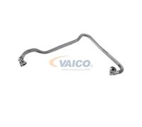 Tubo flessibile, ventilazione del carter VAICO V10-2679