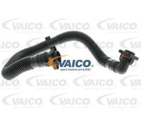 Tubo flessibile, ventilazione coperchio testata cilindri VAICO V10-3092