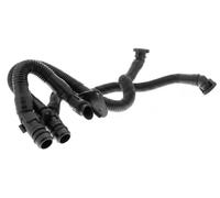 Tubo flessibile, ventilazione coperchio testata cilindri VAICO V10-3503