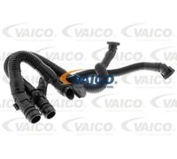 Tubo flessibile, ventilazione coperchio testata cilindri VAICO V10-3503