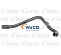 Tubo flessibile, ventilazione del carter VAICO V95-0321