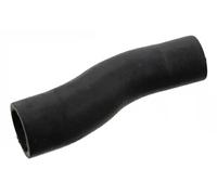 Febi Bilstein 100279 Raffreddamento Motore