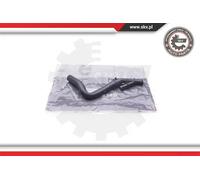 Tubo sistema di raffreddamento 24SKV307 ESEN SKV per AUDI SEAT VW SKODA